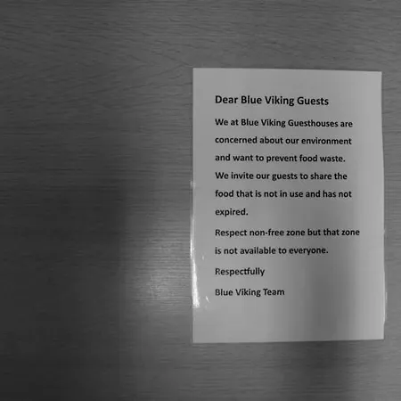 Blue Viking Guesthouse-2