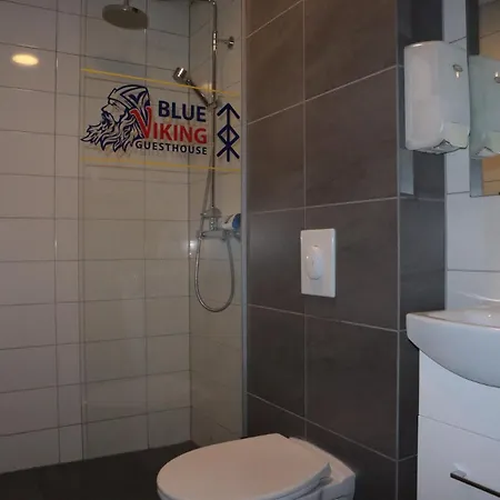 Blue Viking Guesthouse-3